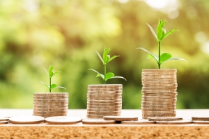 coins with plant growth