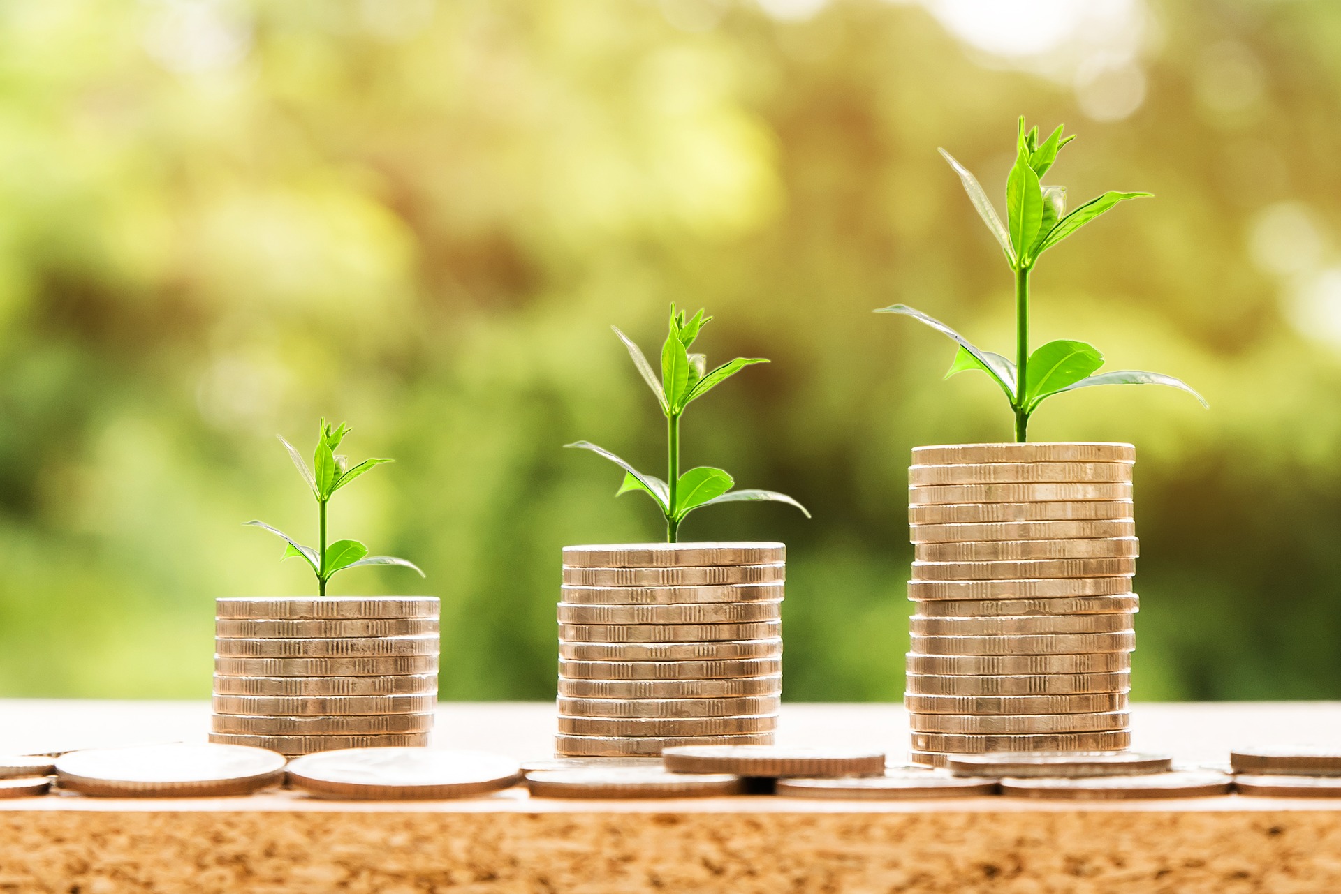 coins with plant growth